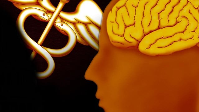 UVA neurosurgeon first in Virginia to use device to treat brain - - CBS19 News