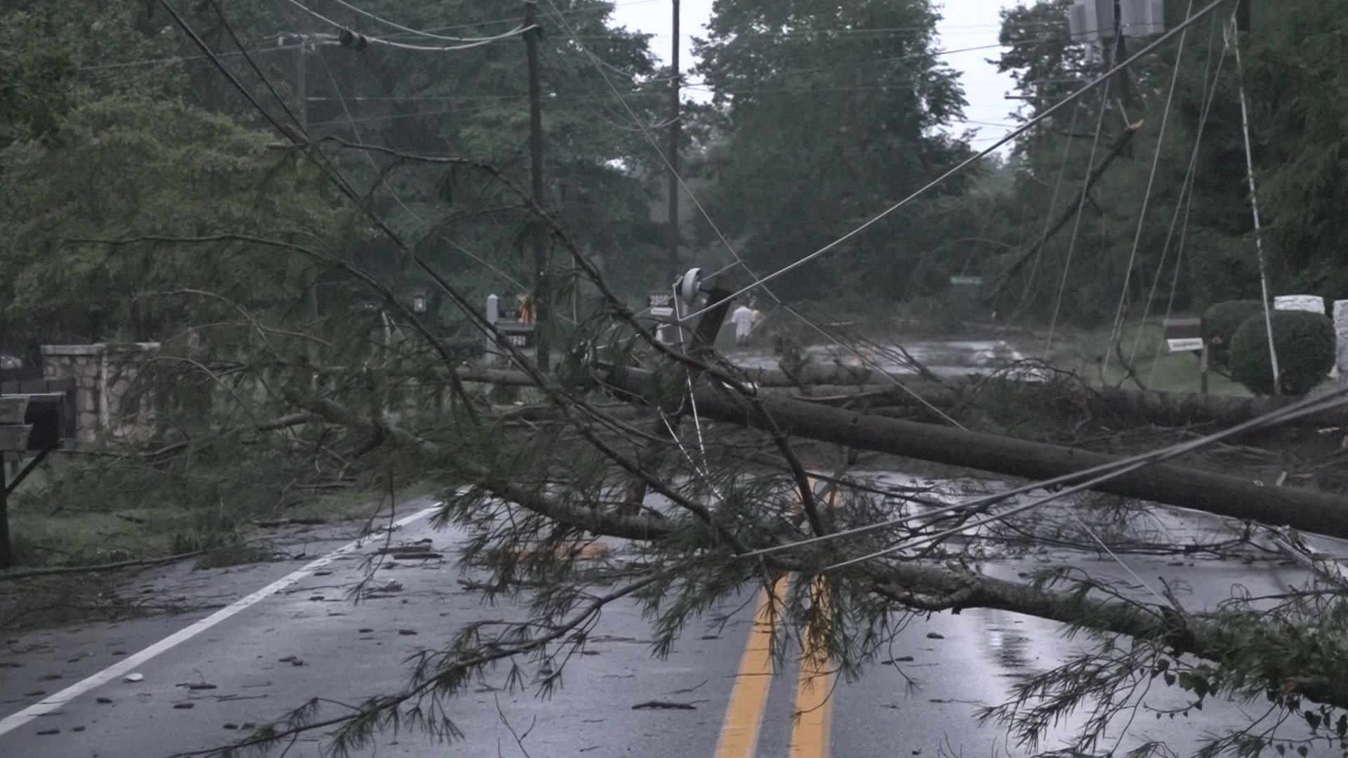 NWS Confirms Tornado Touched Down In Albemarle County On Aug. 6