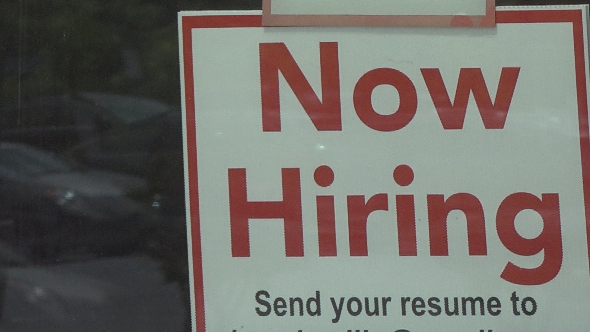 Albemarle county va job openings