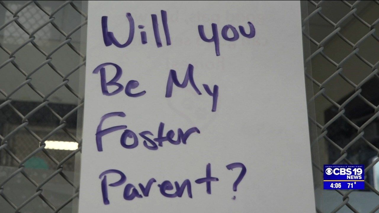 SPCA needs more kennels to help animals in hurricaneimpacted areas