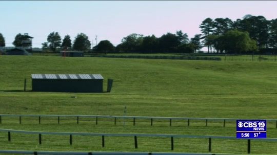 Local Business Spotlight: Foxfield Races